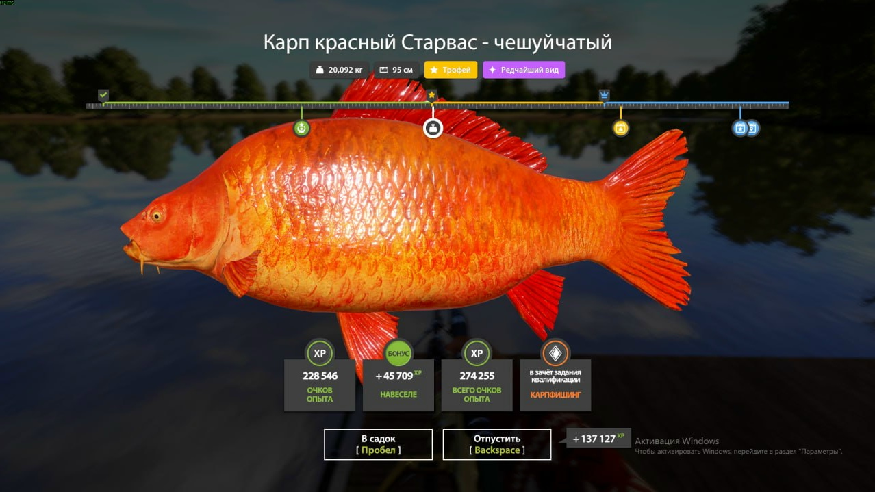 Фото точки