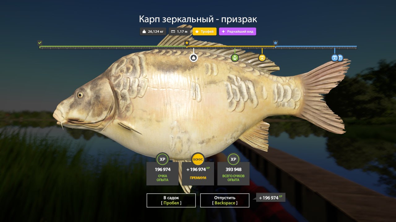 Фото точки
