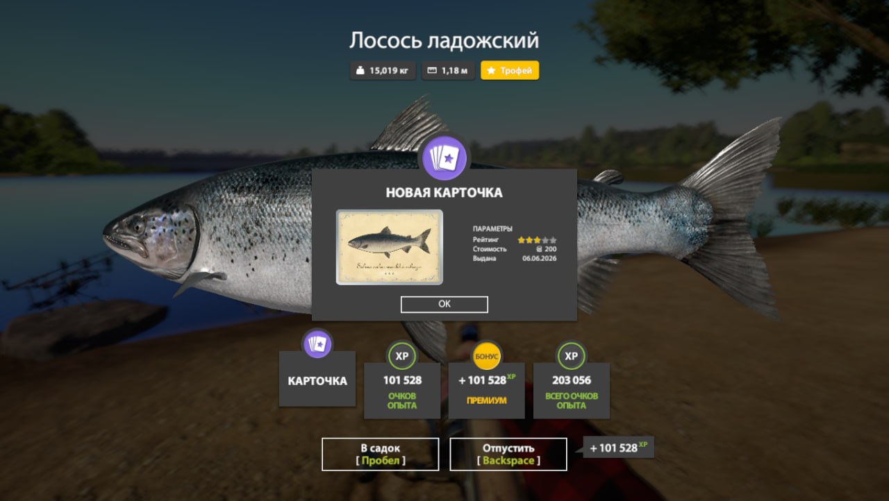 Фото точки