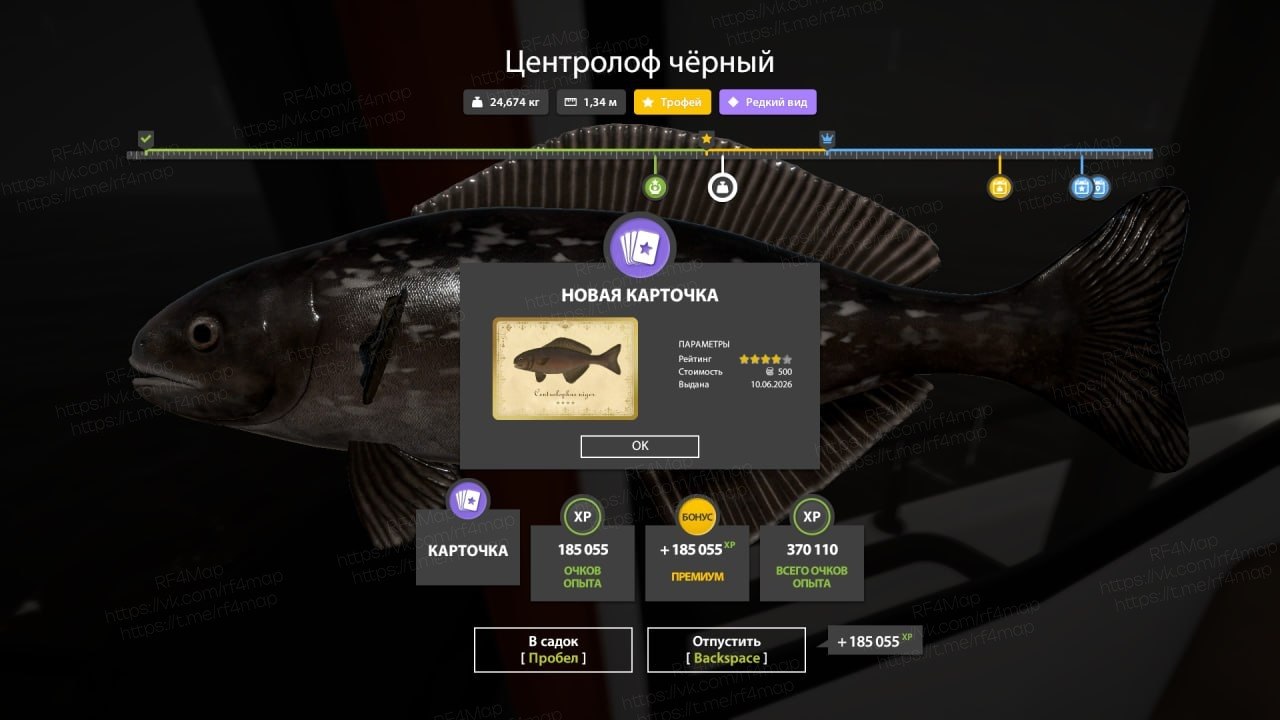 Фото точки