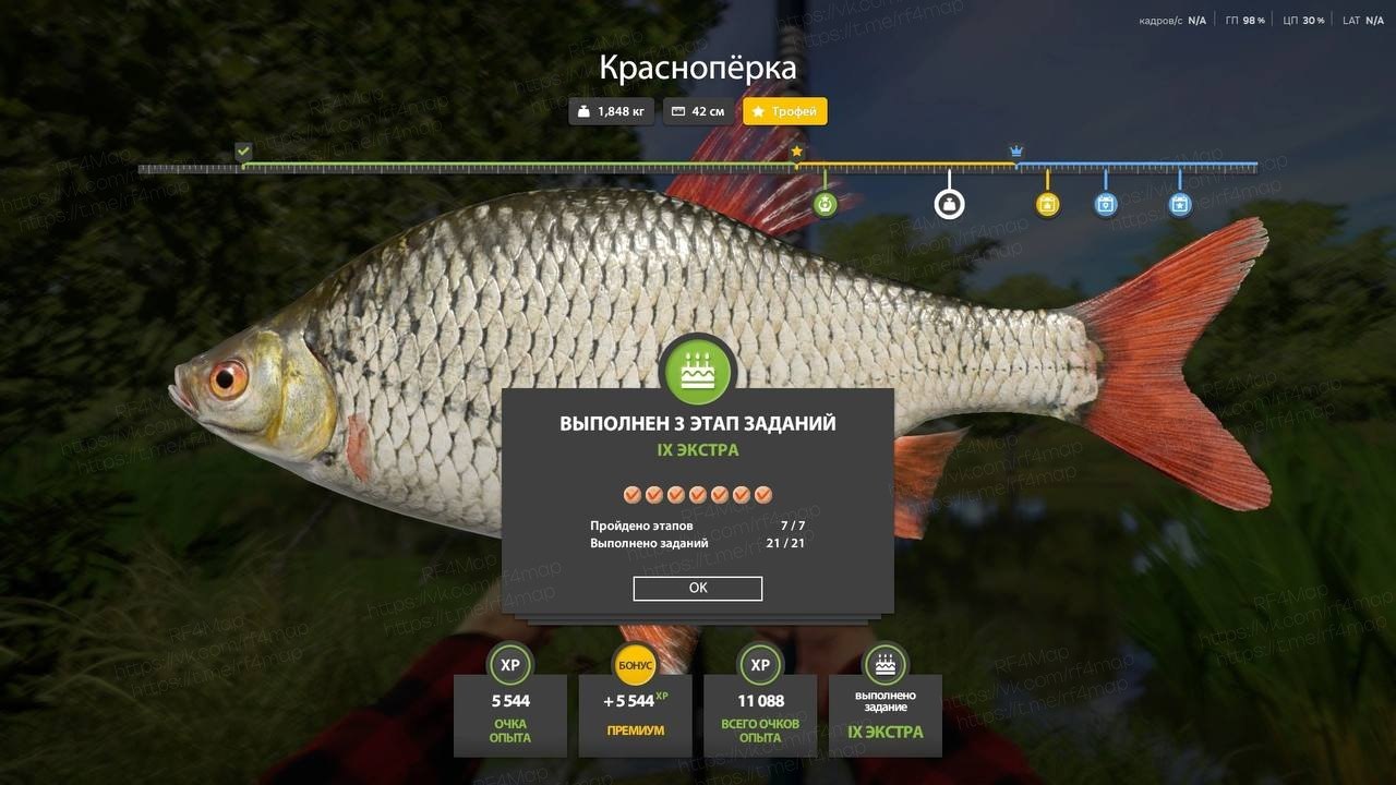 Фото точки
