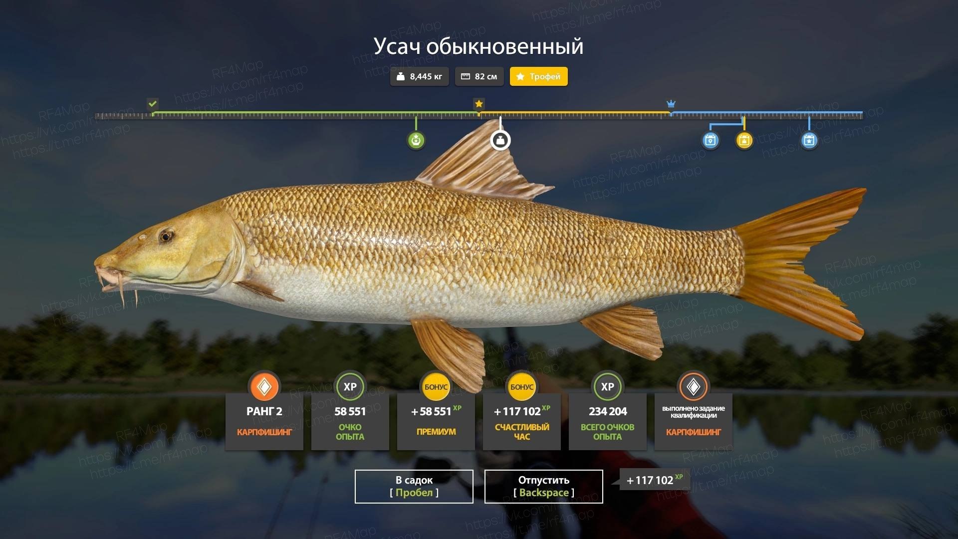 Фото точки