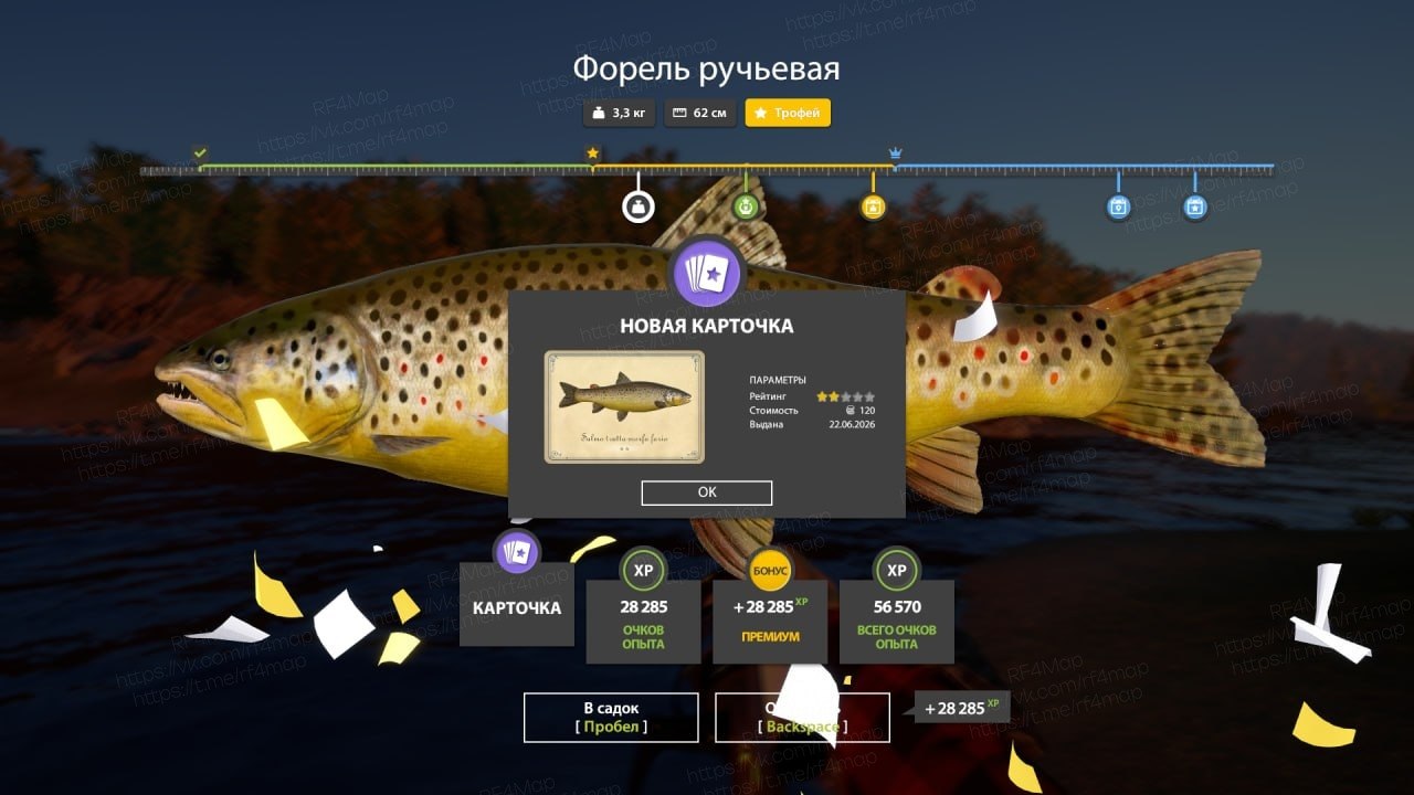 Фото точки