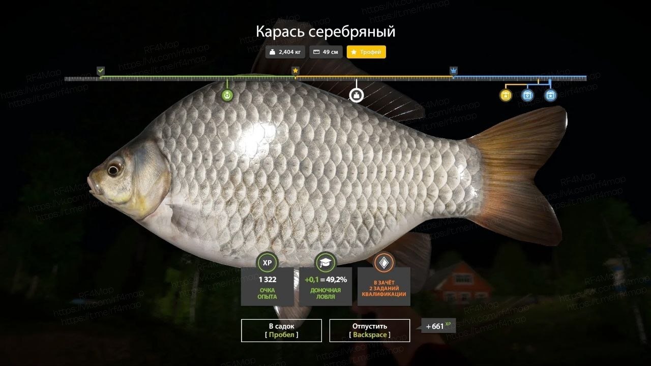 Фото точки