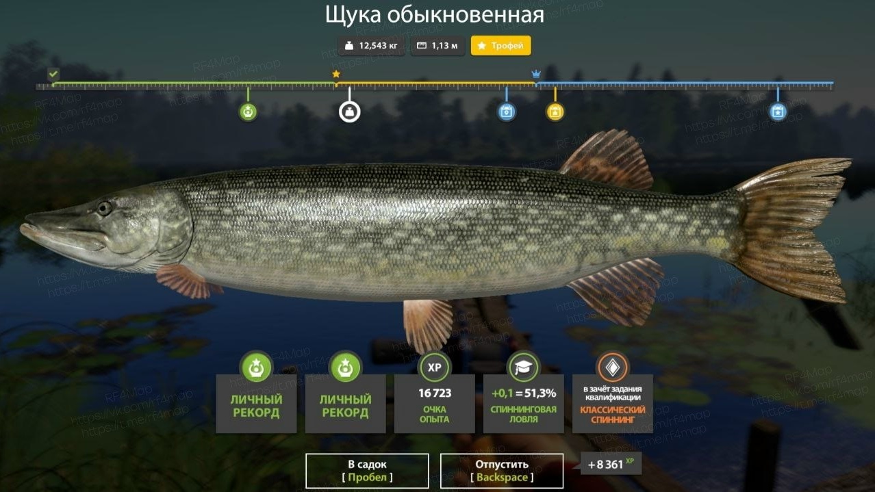 Фото точки