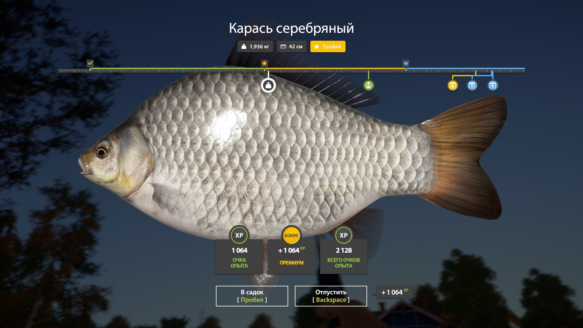 Фото точки