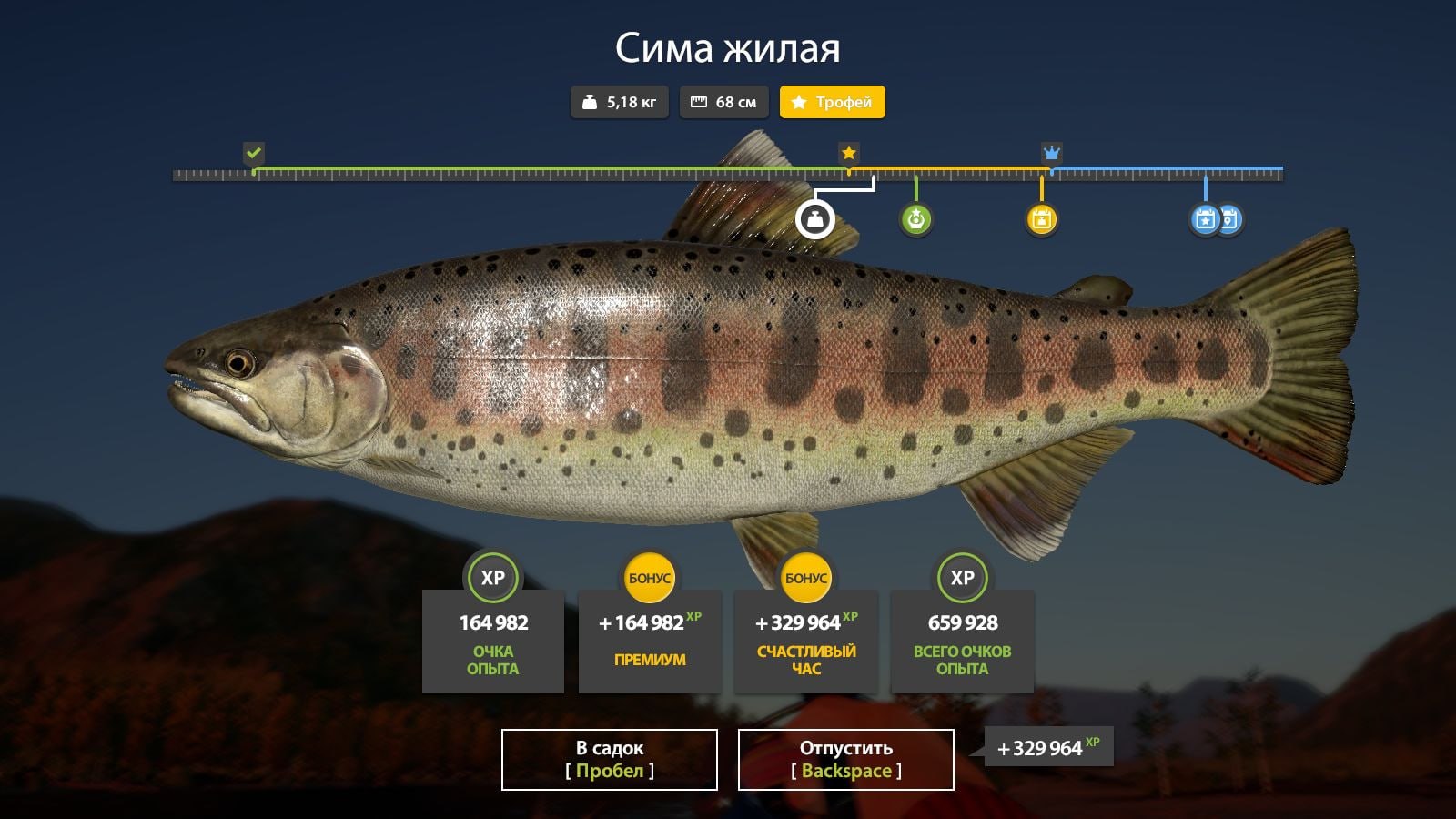 Фото точки