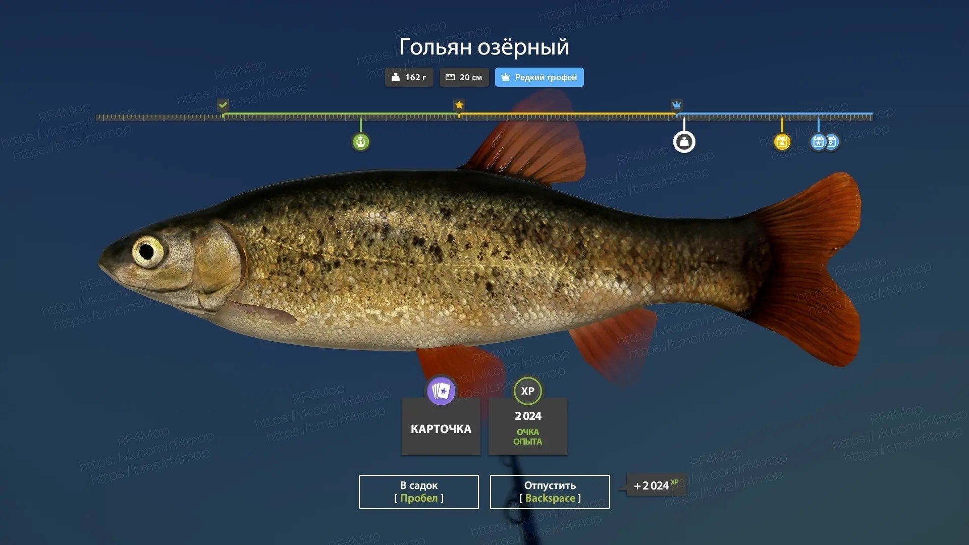 Фото точки