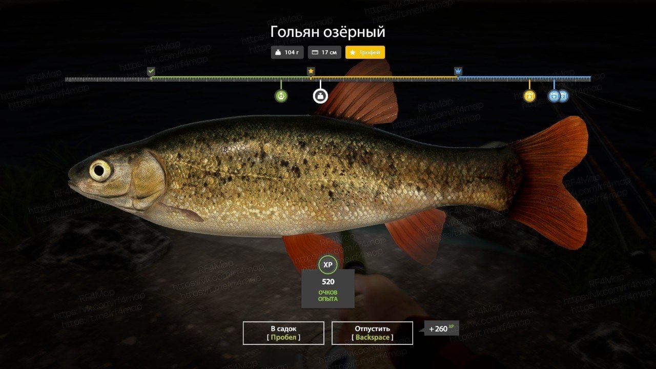 Фото точки