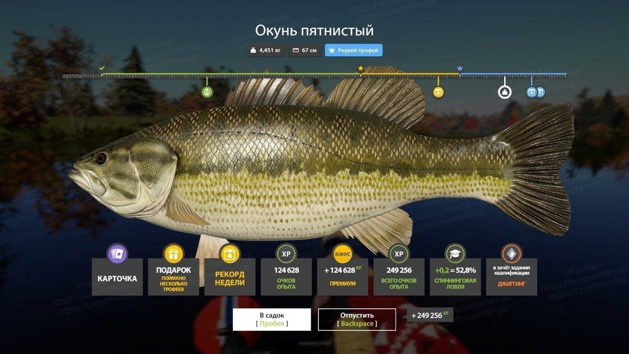 Фото точки