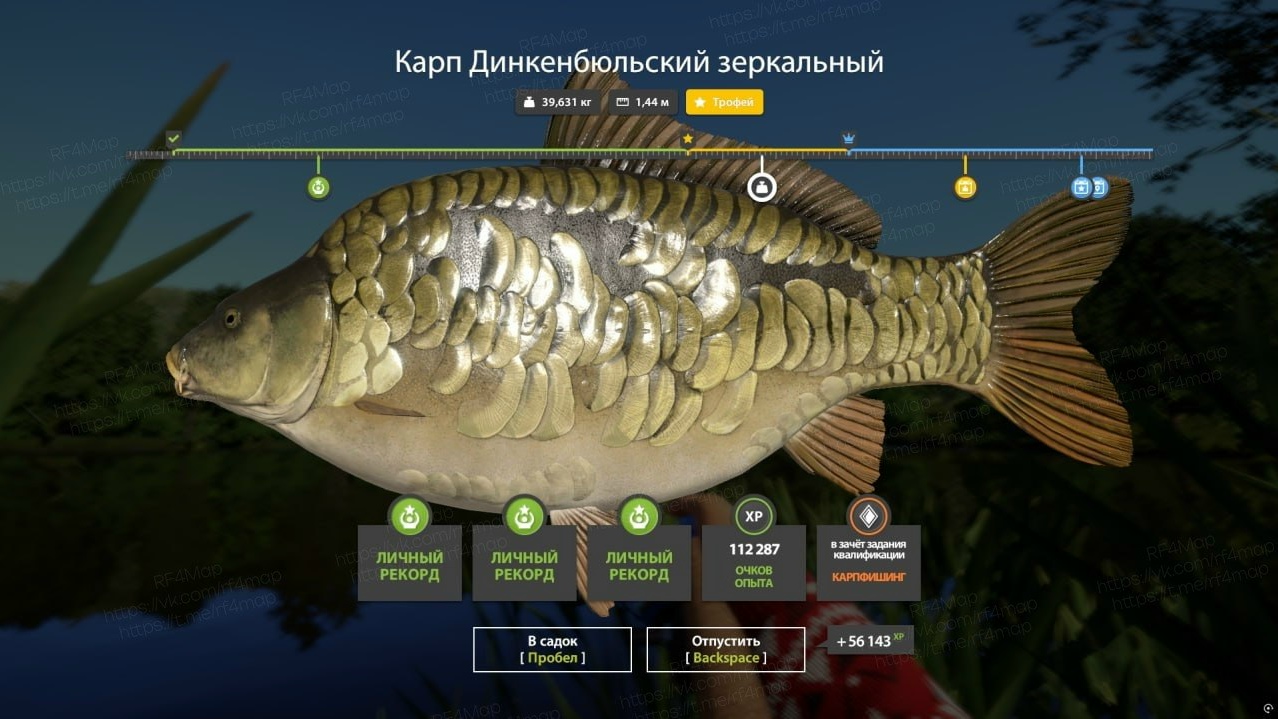 Фото точки