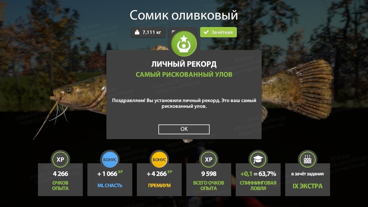 Фото точки