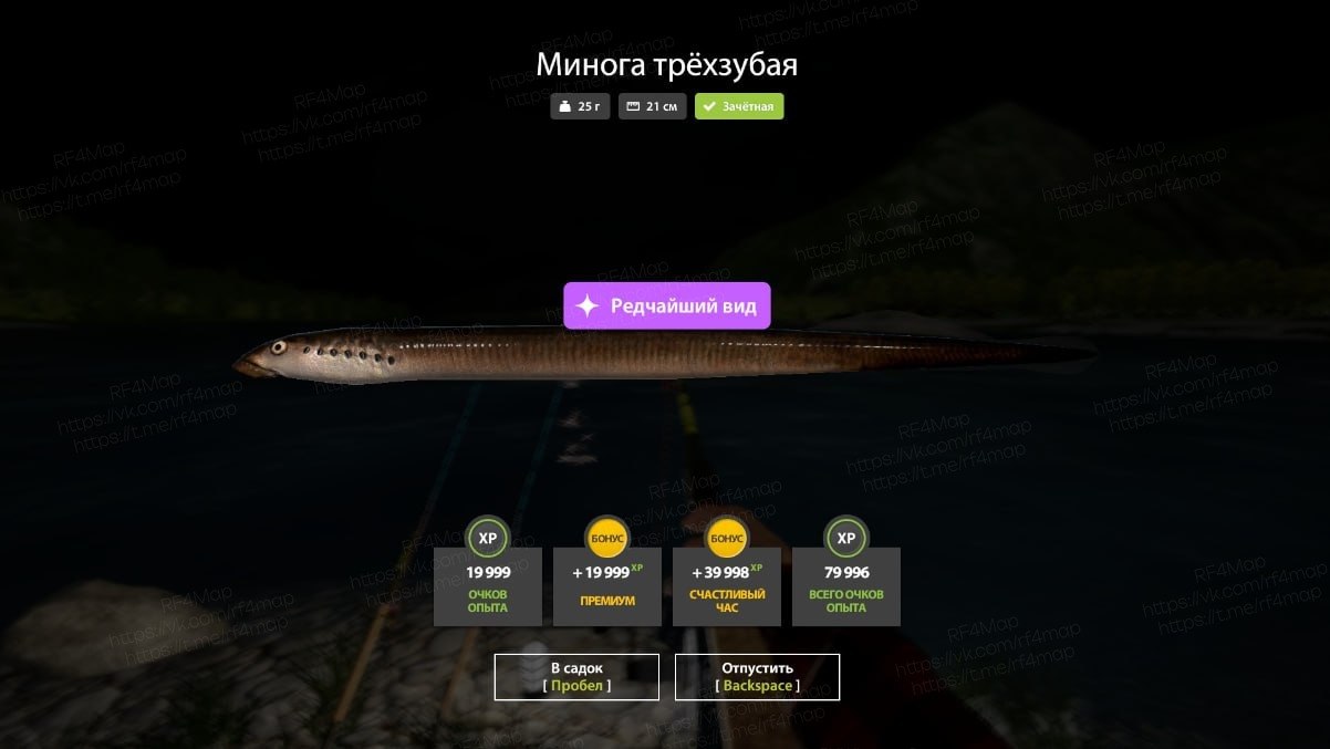 Фото точки