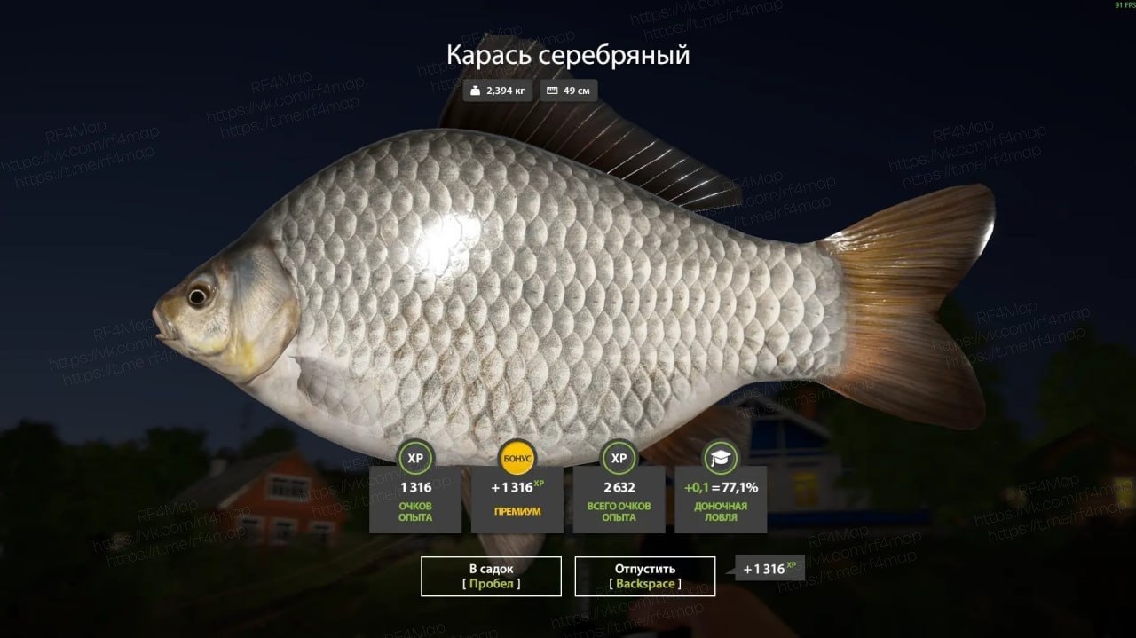 Улов (Карась серебряный, Карп Кои Мидори-гои) на трофей в RF4