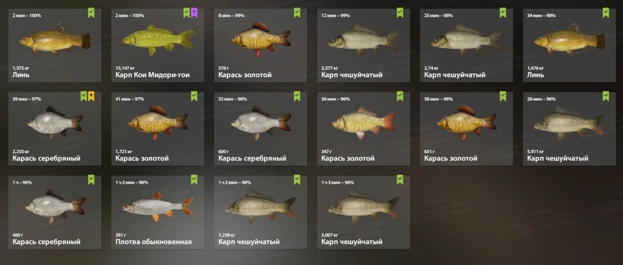 Улов (Карась серебряный, Карп Кои Мидори-гои) на трофей в RF4