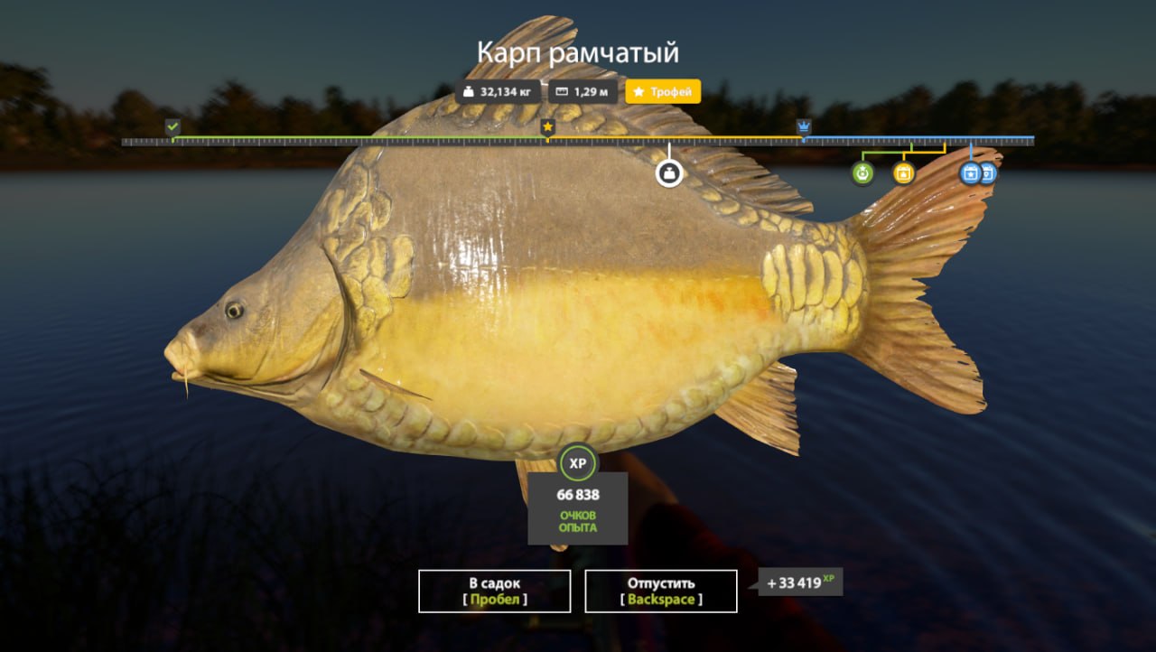 Улов (Карп рамчатый) на трофей в RF4
