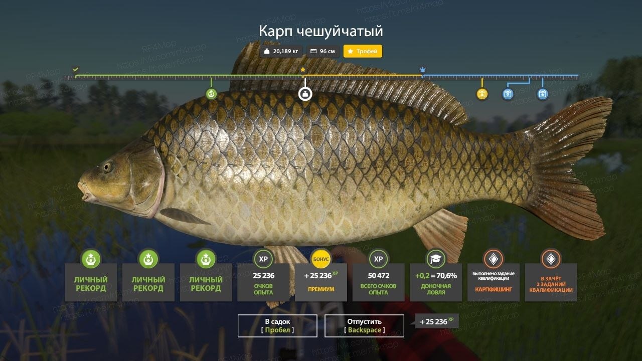 Фото точки