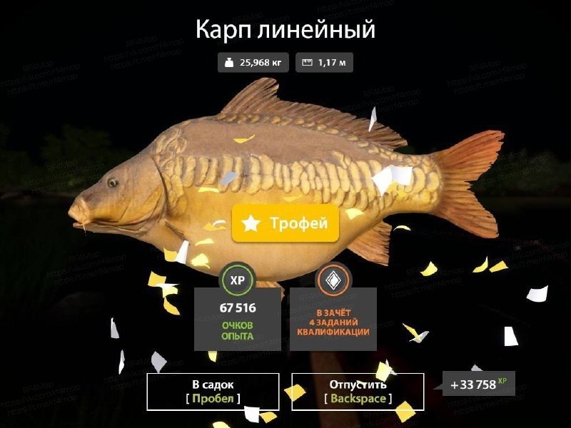 Фото точки