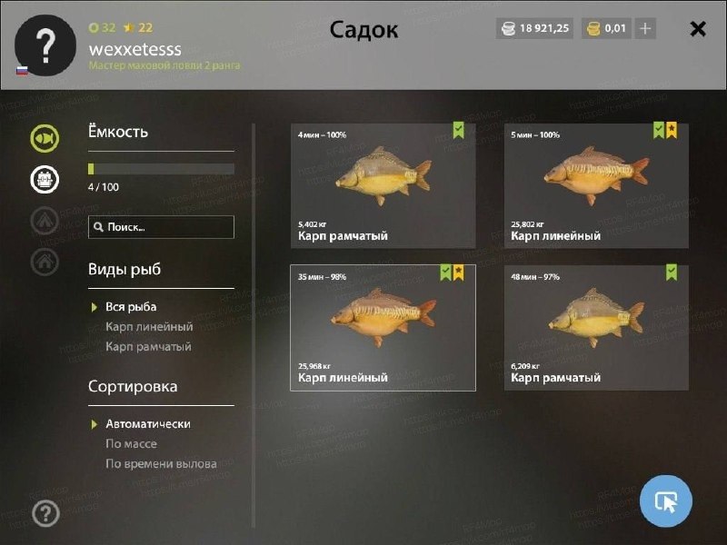 Улов (Карп линейный) на трофей в RF4