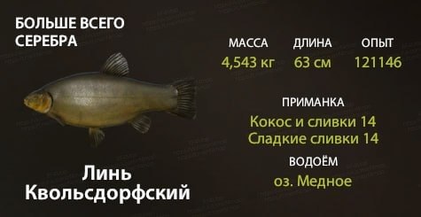 Улов (Линь Квольсдорфский) на трофей в RF4
