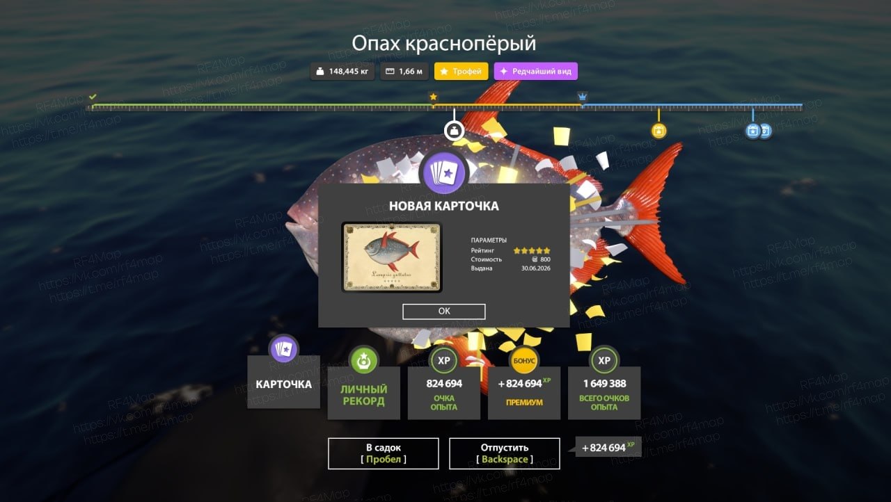 Фото точки