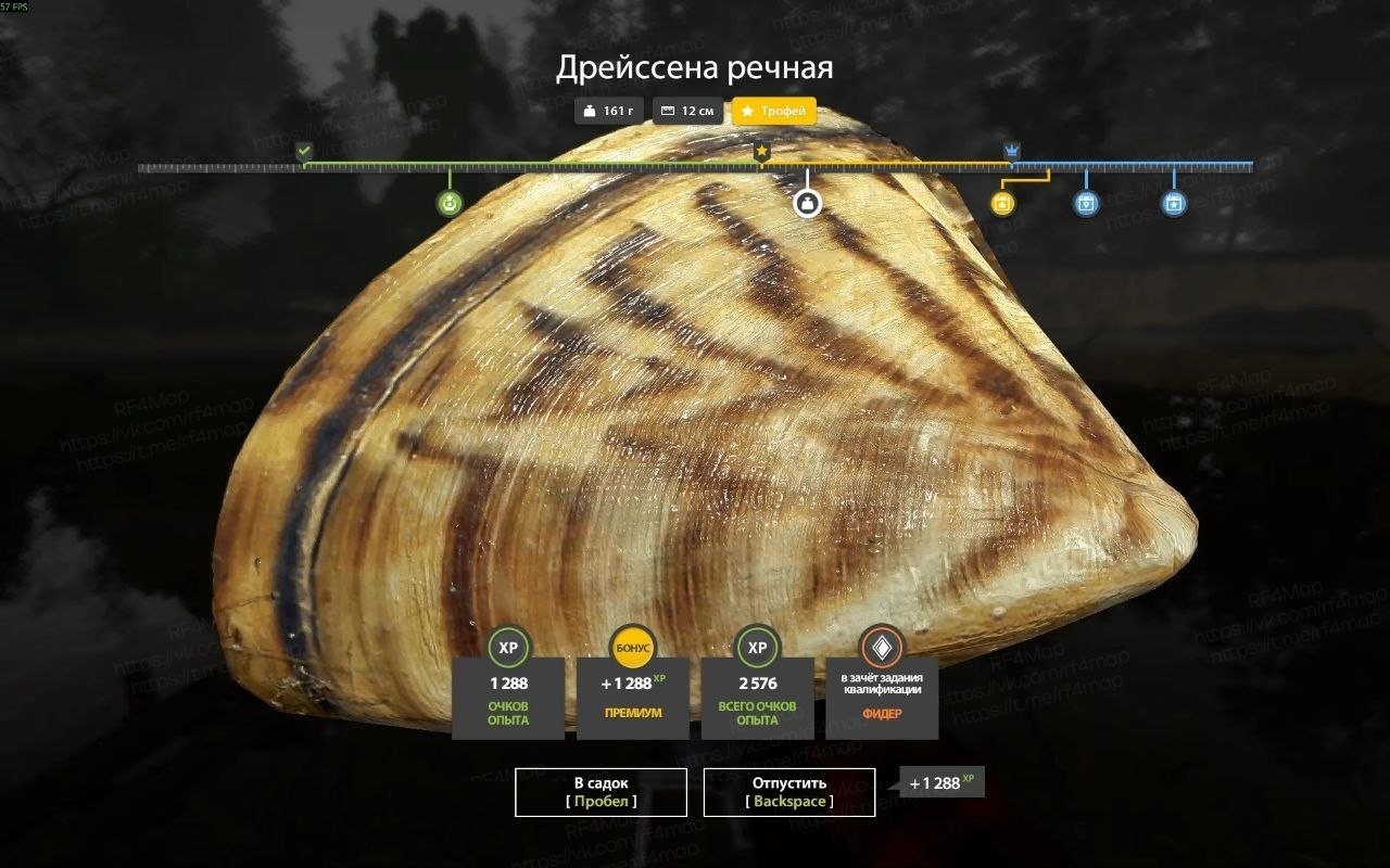 Фото точки