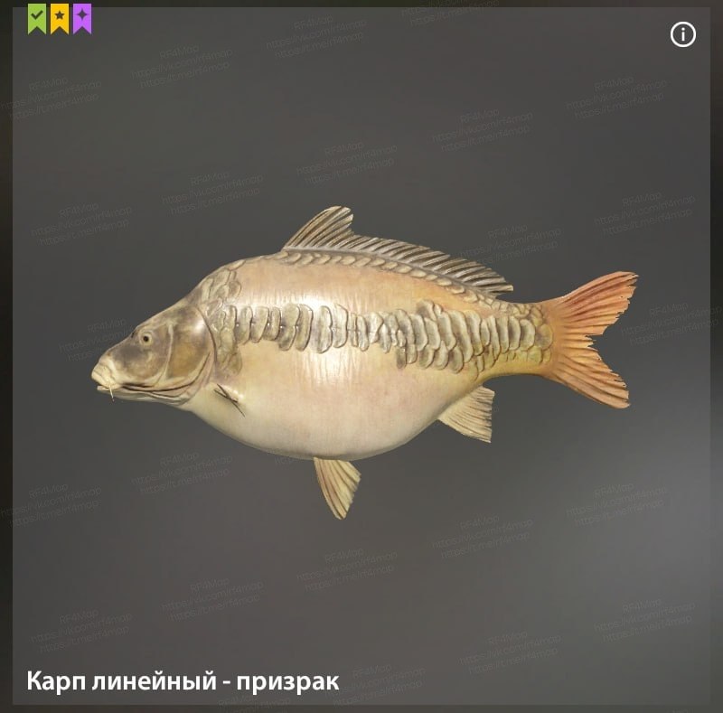 Фото точки