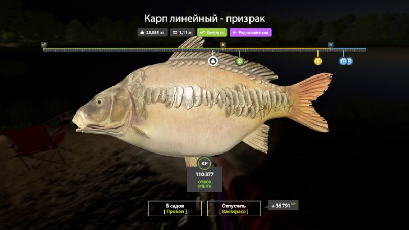 Фото точки