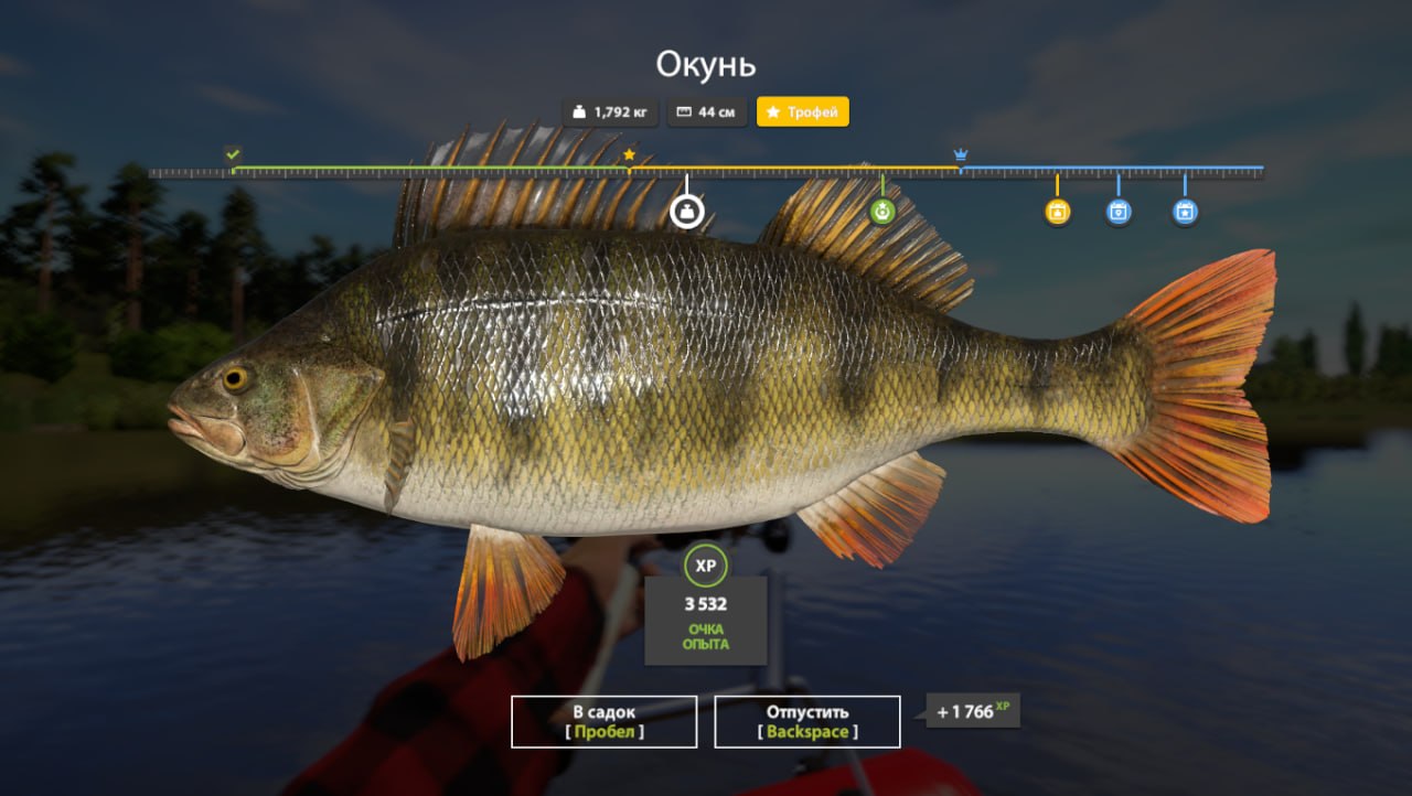 Улов (Берш) на сура в RF4