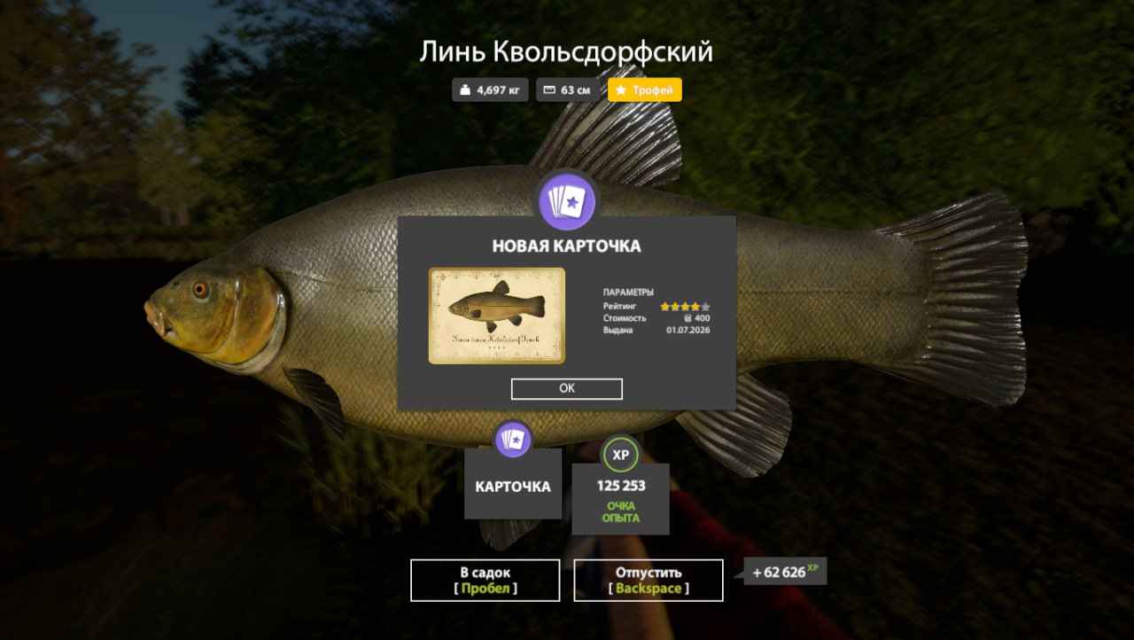 Фото точки