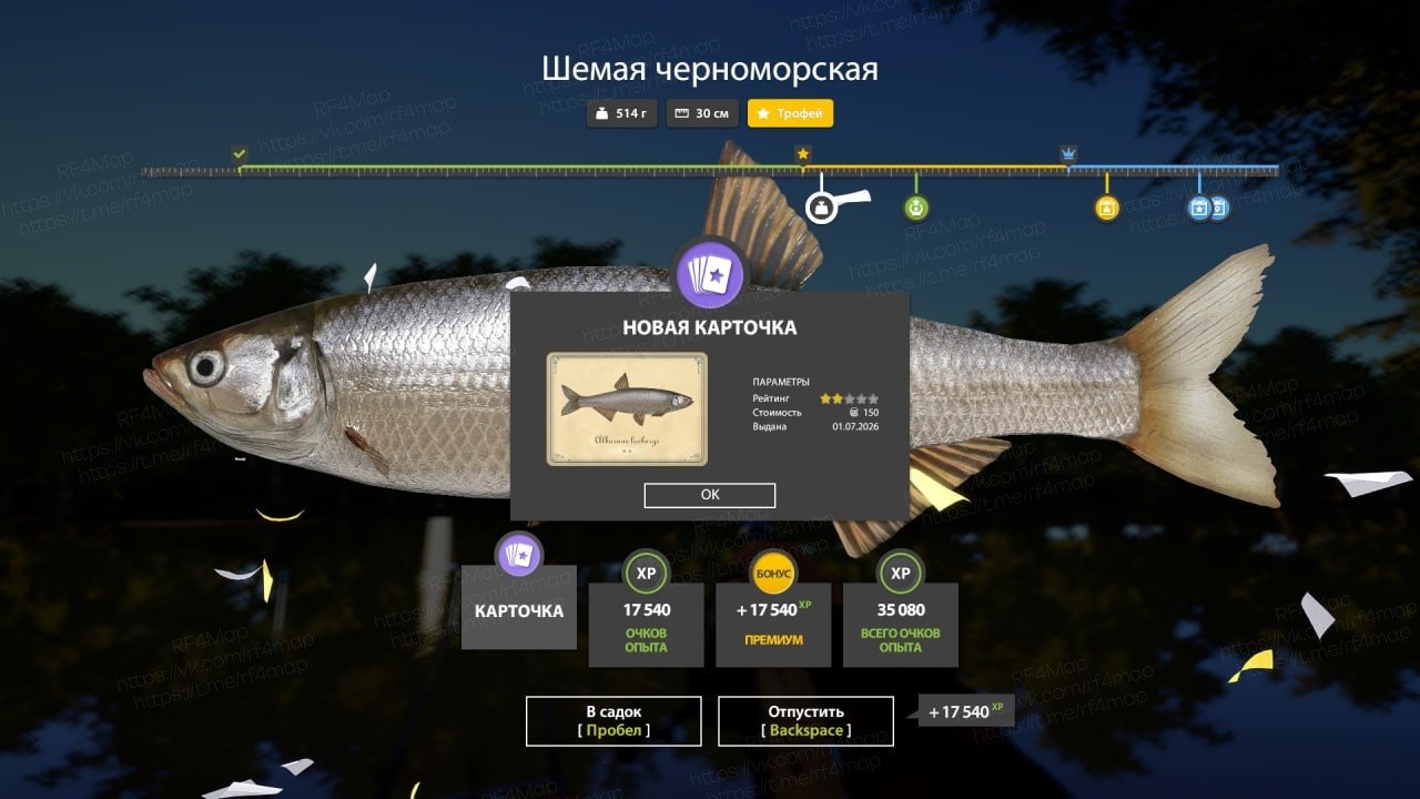 Фото точки
