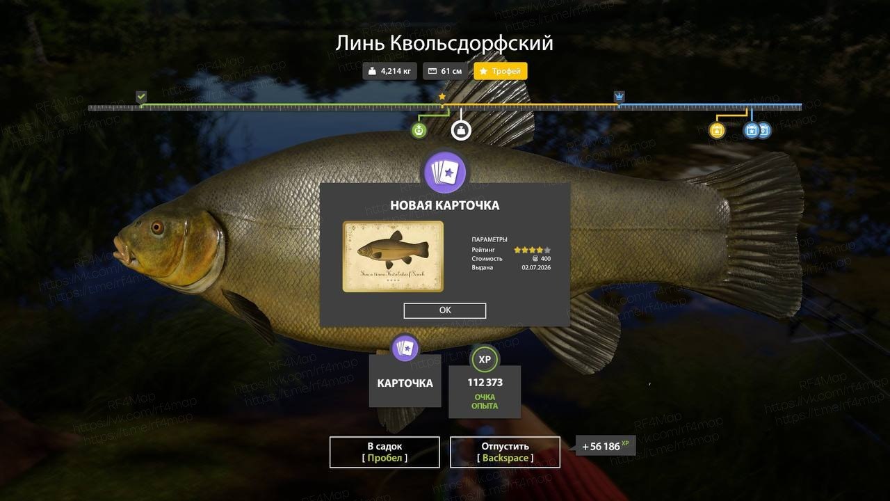 Фото точки