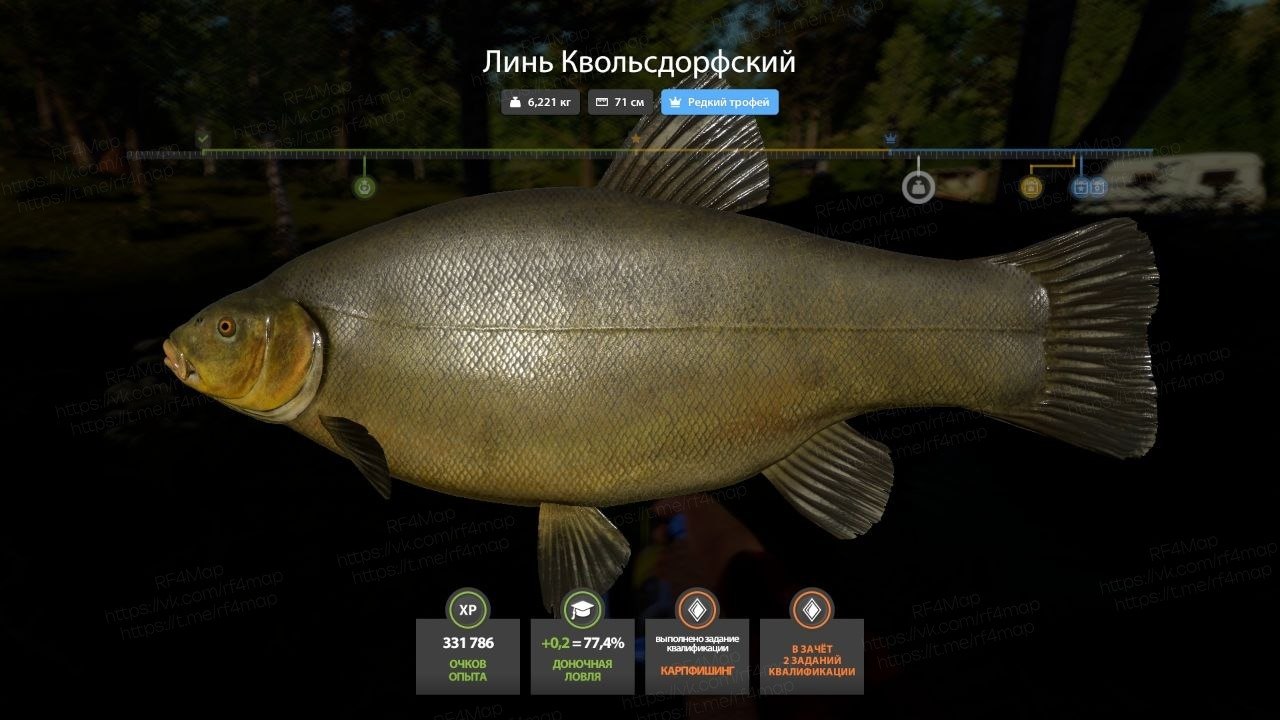 Фото точки