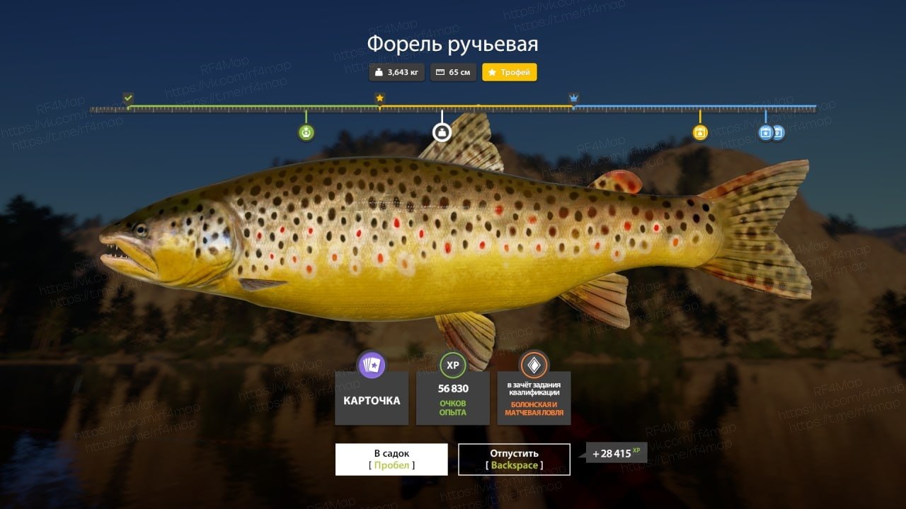 Фото точки