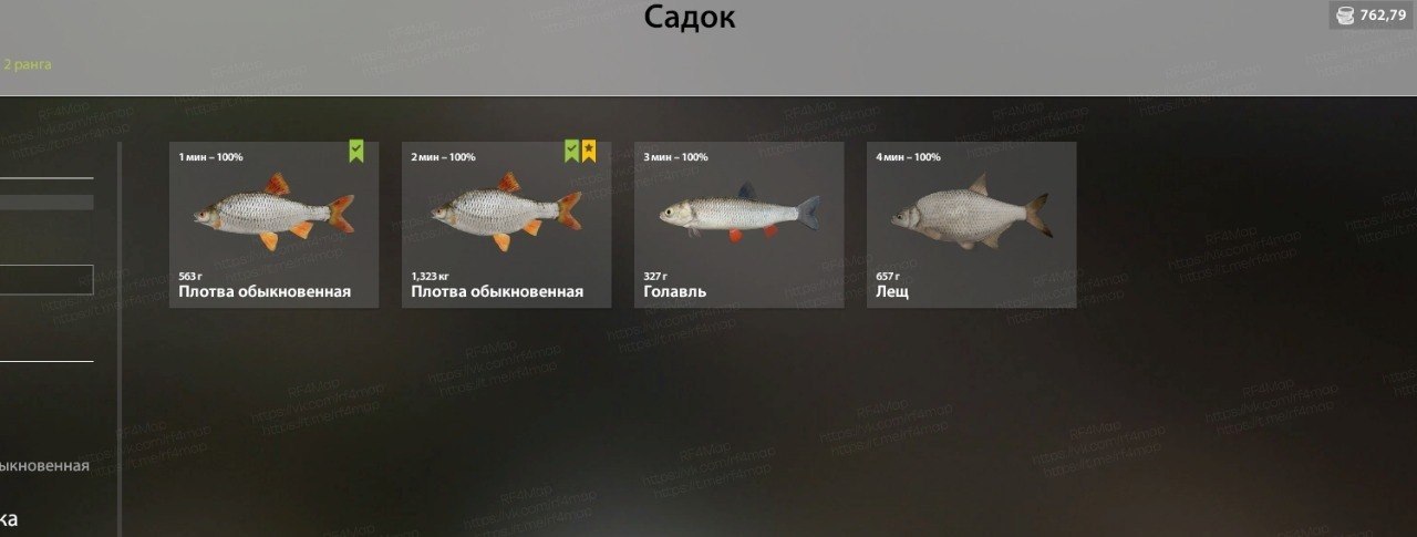 Улов (Плотва обыкновенная) на комариное в RF4