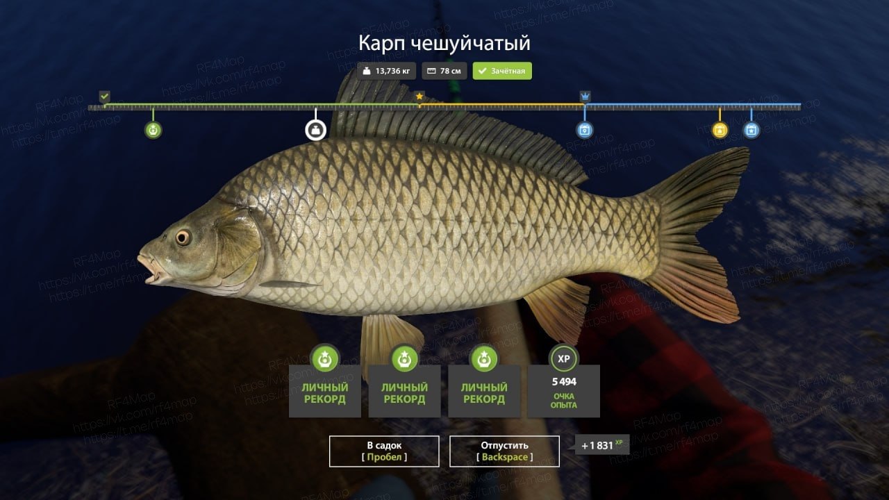 Улов (Амур белый, Амур чёрный, Карп чешуйчатый) на острог в RF4