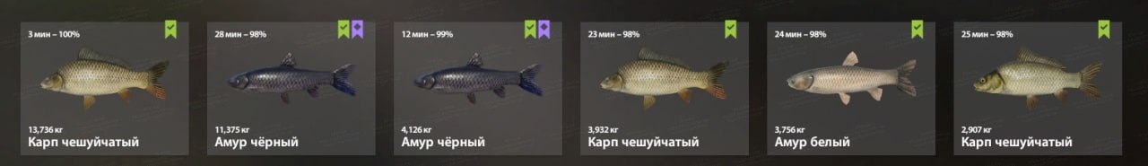 Улов (Амур белый, Амур чёрный, Карп чешуйчатый) на острог в RF4