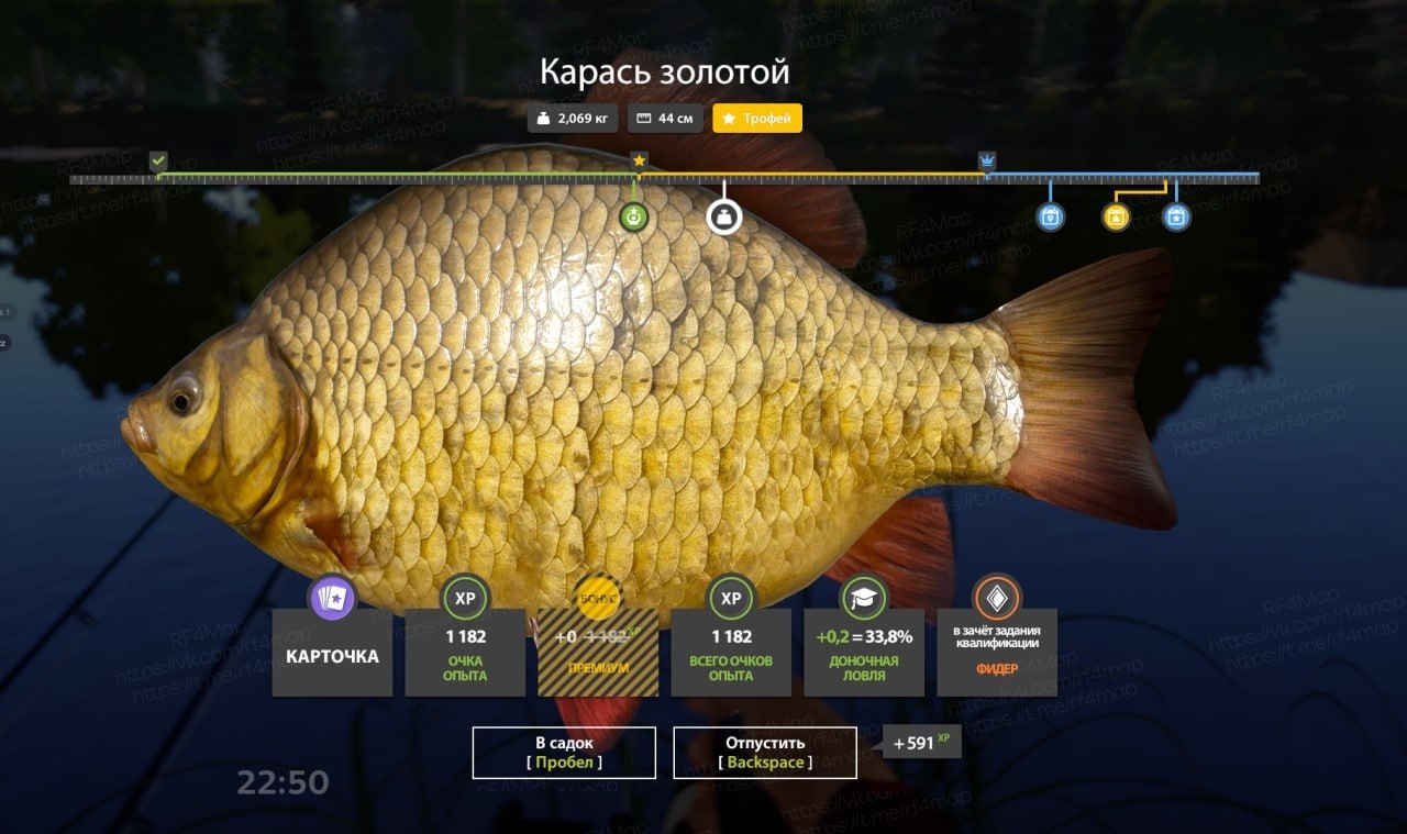 Улов (Лещ, Карась золотой) на фарм в RF4