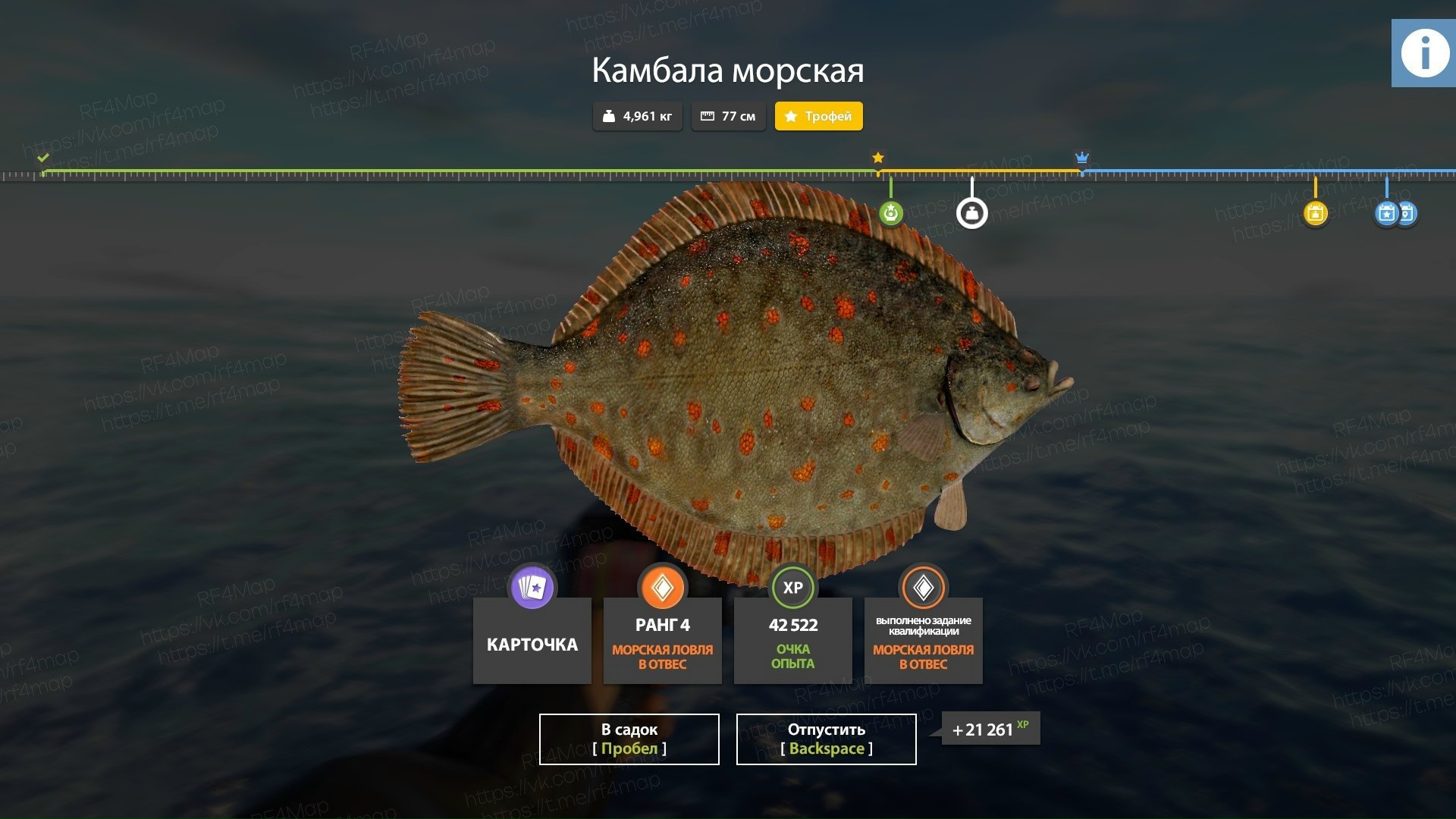 Фото точки