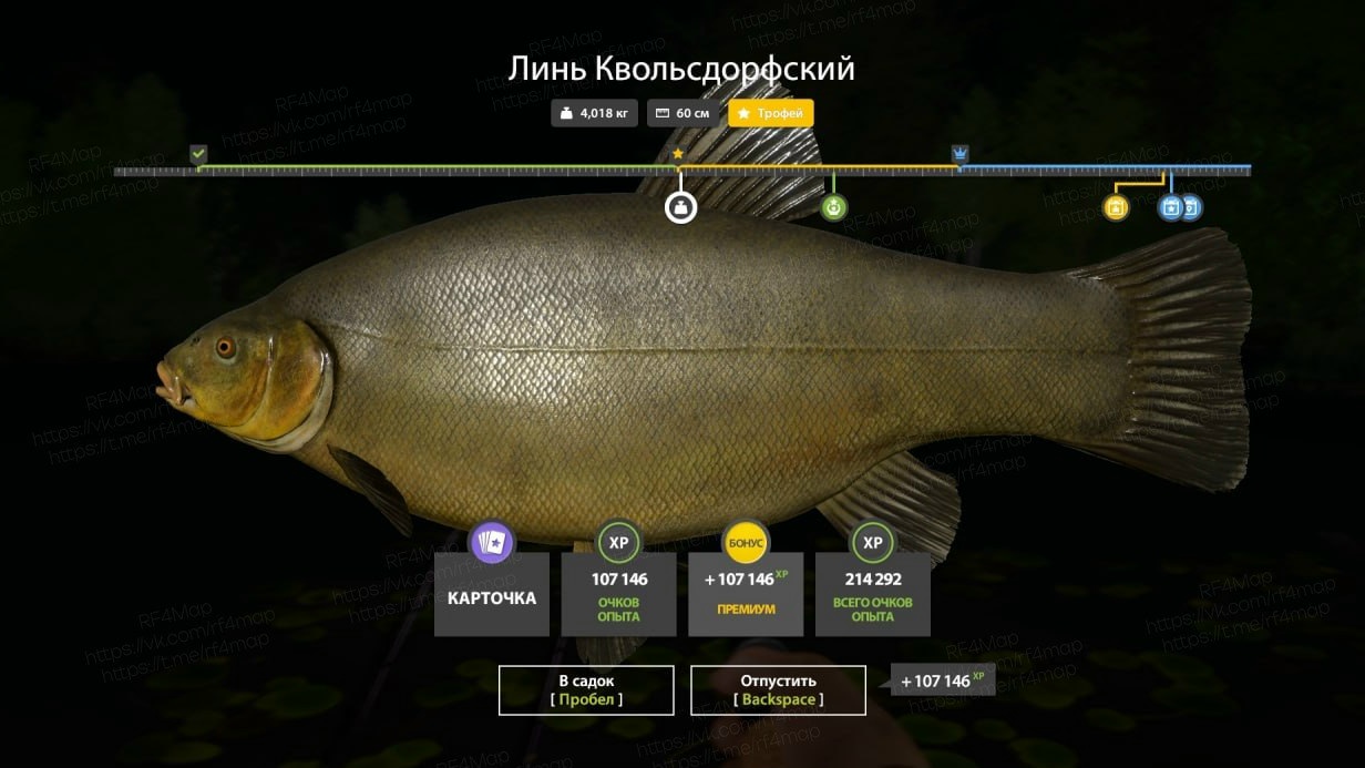 Фото точки