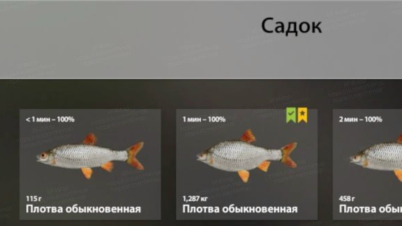 Фото точки