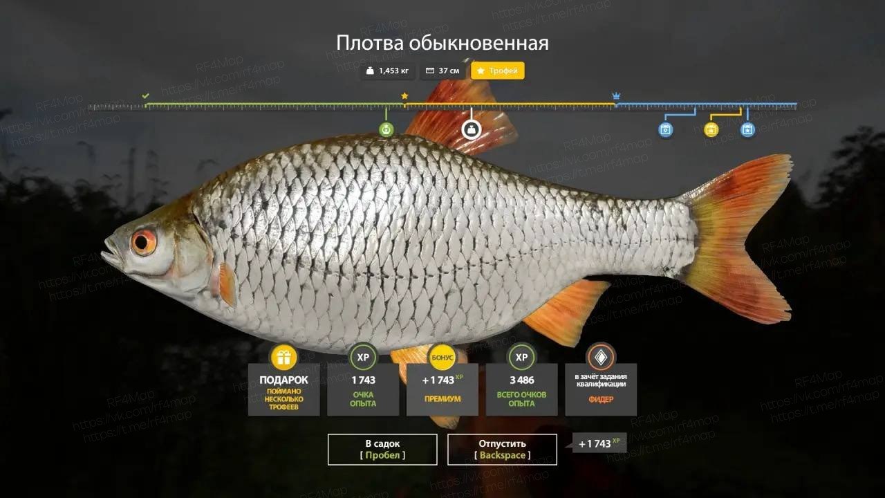Фото точки
