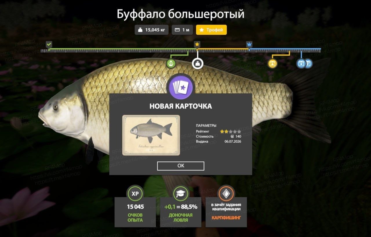 Фото точки