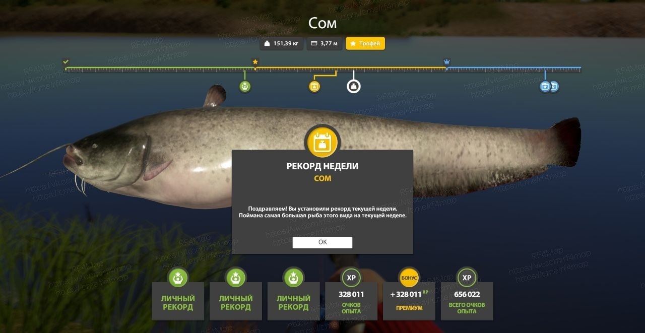 Улов (Сом) на трофей в RF4
