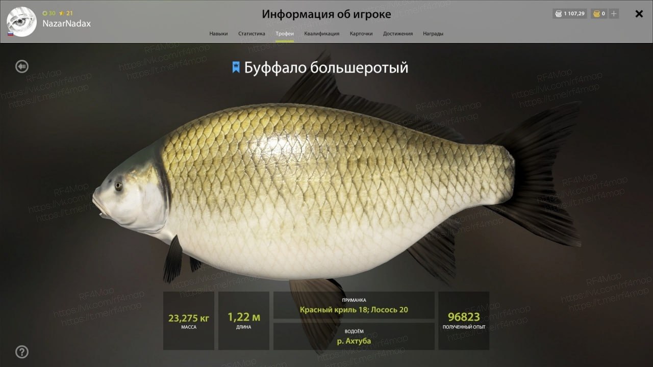 Улов (Буффало большеротый) на трофей в RF4