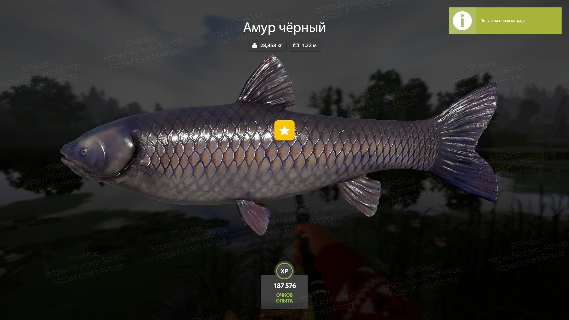 Улов (Амур чёрный) на острог в RF4