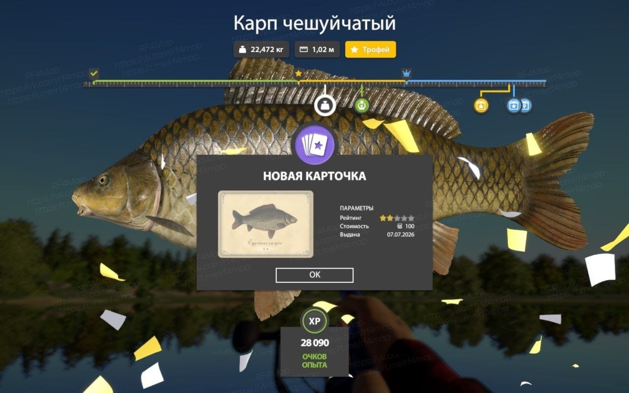 Фото точки