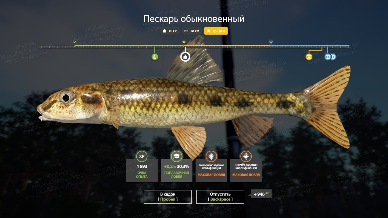 Фото точки