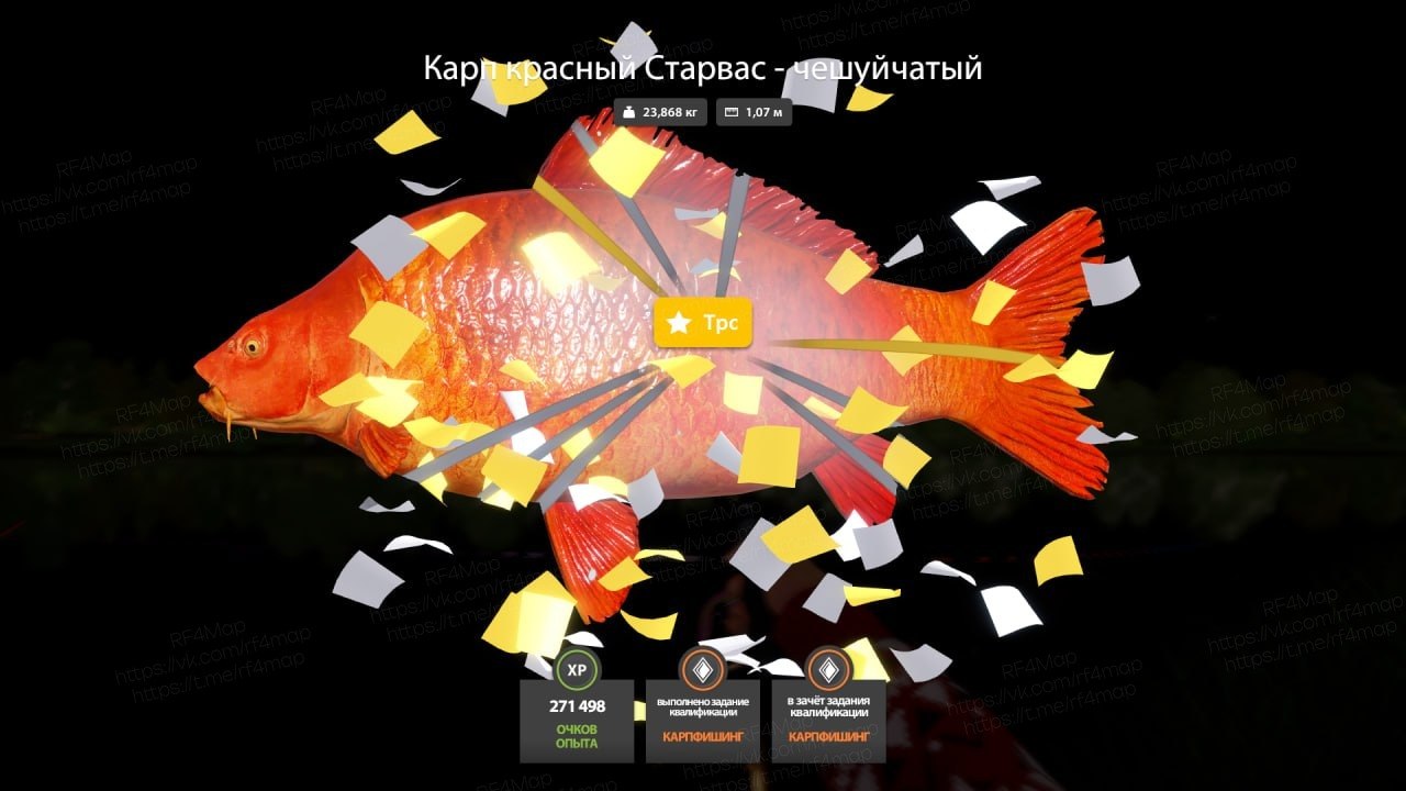 Фото точки