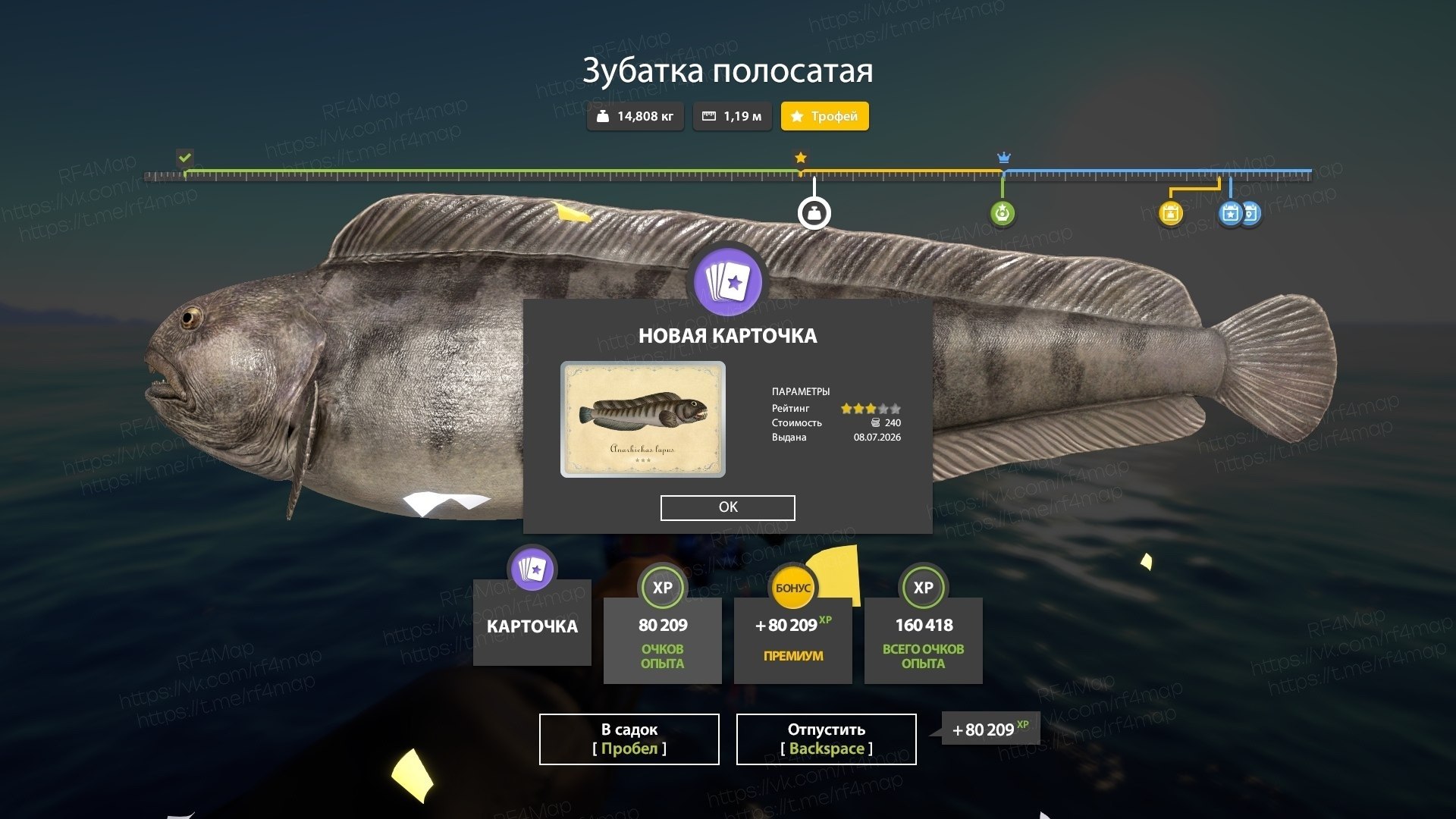 Фото точки